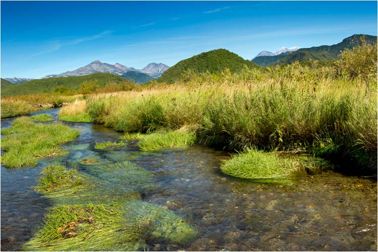 Kristallklares Wasser sucht sich den Weg in der grünen Landschaft