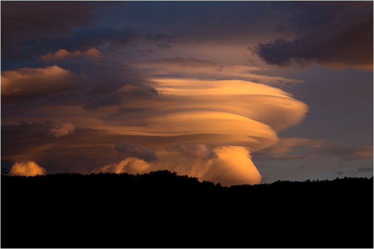 ... in grosser Farbenpracht.