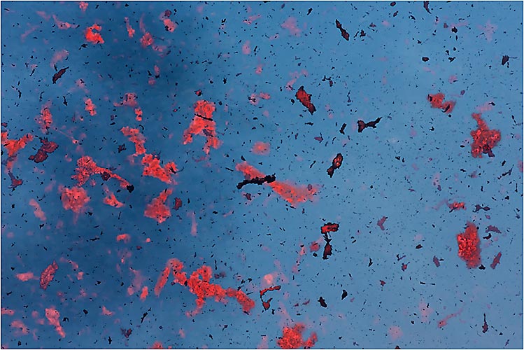 Fliegende Lava aus dem Tolbatschik Krater