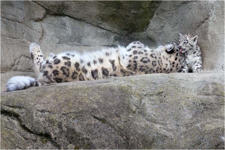 Mama soll auch sauber sein