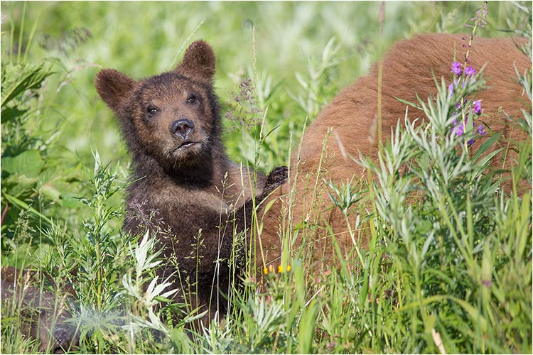 Mama, die neuen Fotografen sind schon da!
