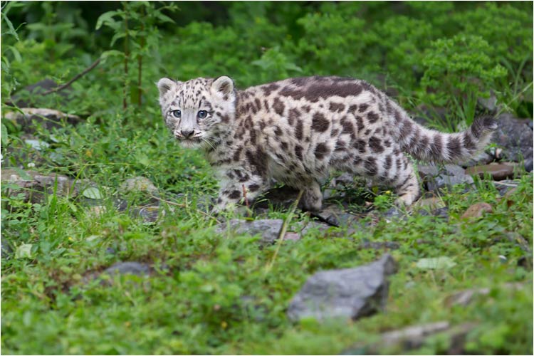 was für ein misstrauischer Blick !
