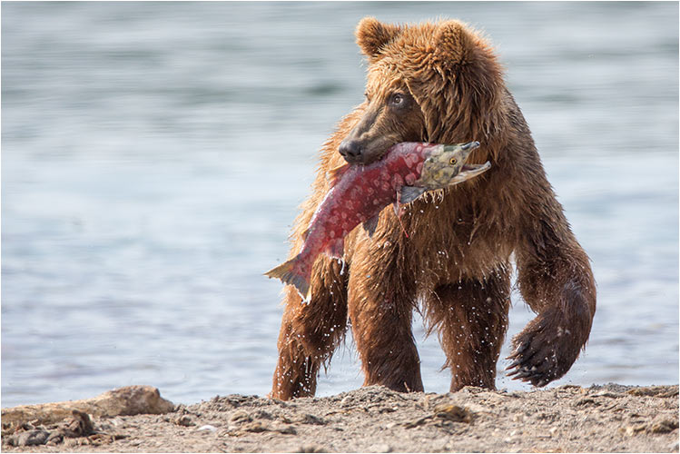 Was für ein stolzer Fang!