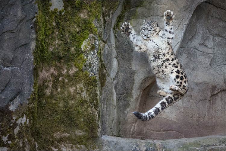 Schiess endlich, ich bin bereit!