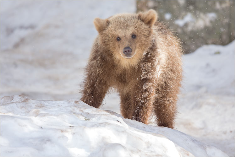 Zoé beobachtet ihren Bruder King zu