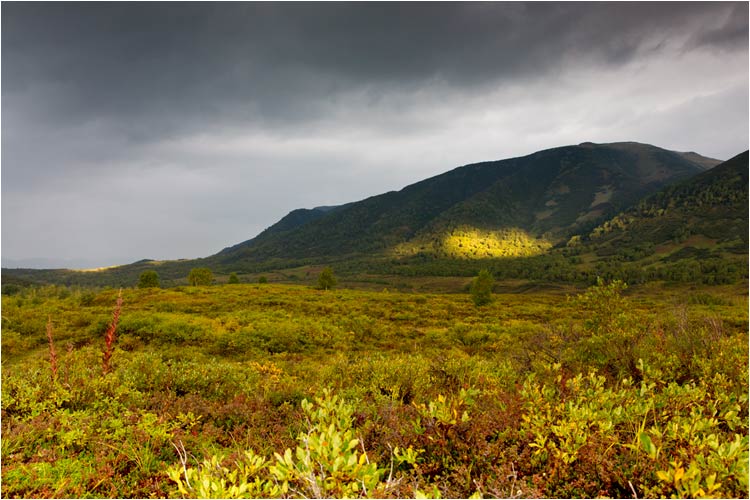 Wilder Landschaft mit kurzem lokalem Sonnenschein. Region Kopyllake