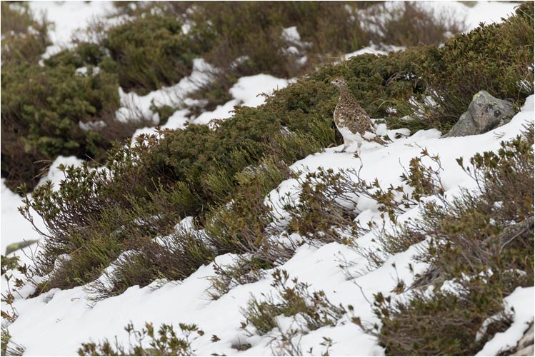 Hier sieht mann es gut wie das 