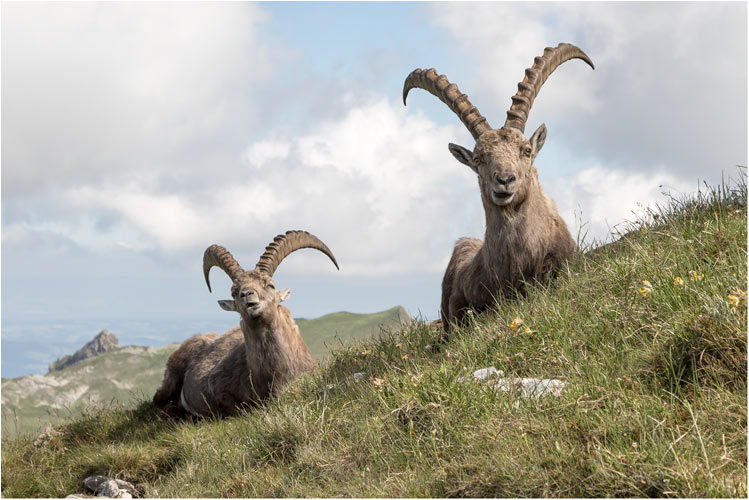 Begegnung mit Gian und Giachen :-)