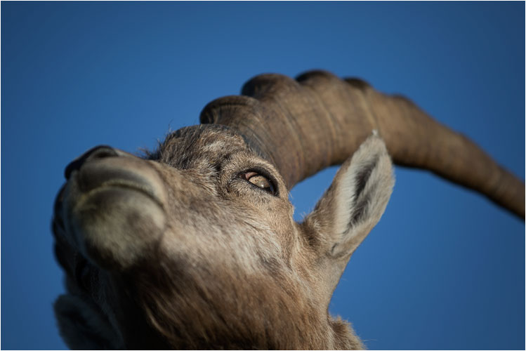 Du, kommst mir nicht zu nah!