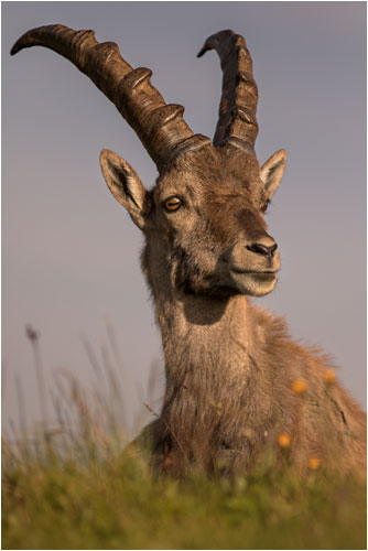 Diese Sonne geniessen