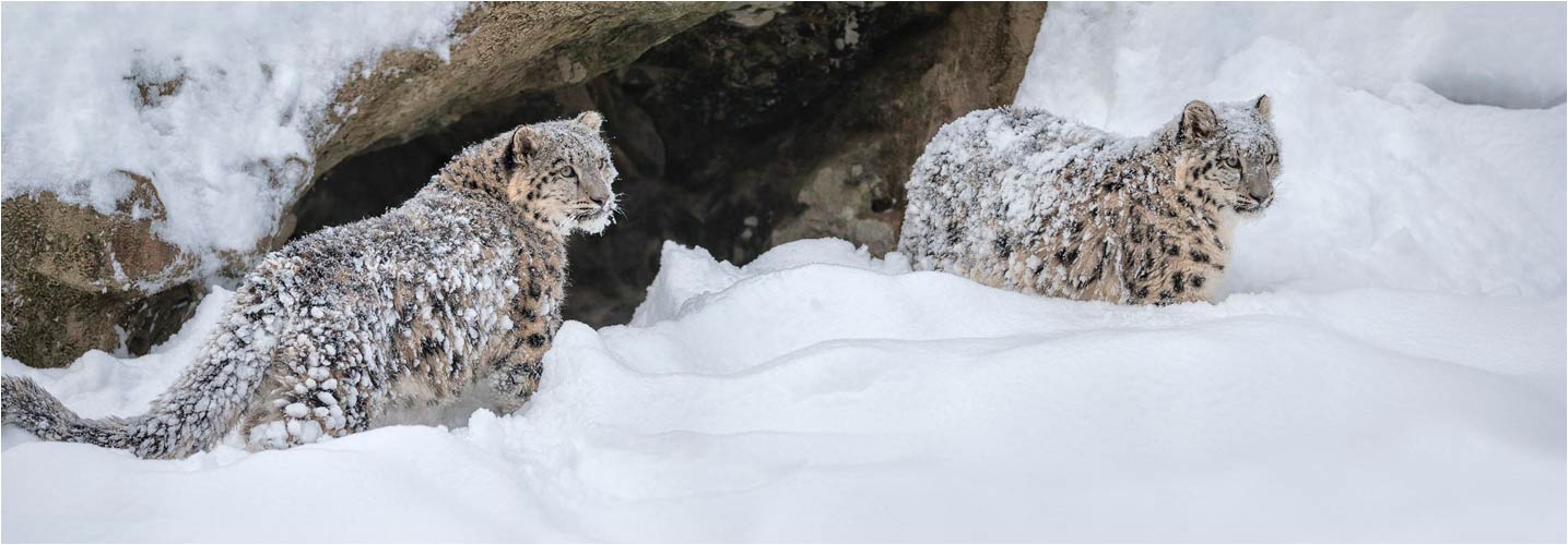 Schnee, die Spielstube von Orya und Okara