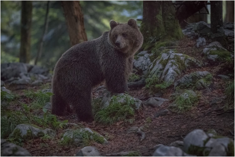 Es wurde  langsam sehr dunkel zum fotografieren.