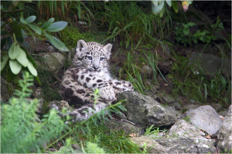 Irgendwie ist mir langweilig