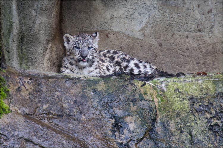 wo bleibt die Sonne?!  :-( 