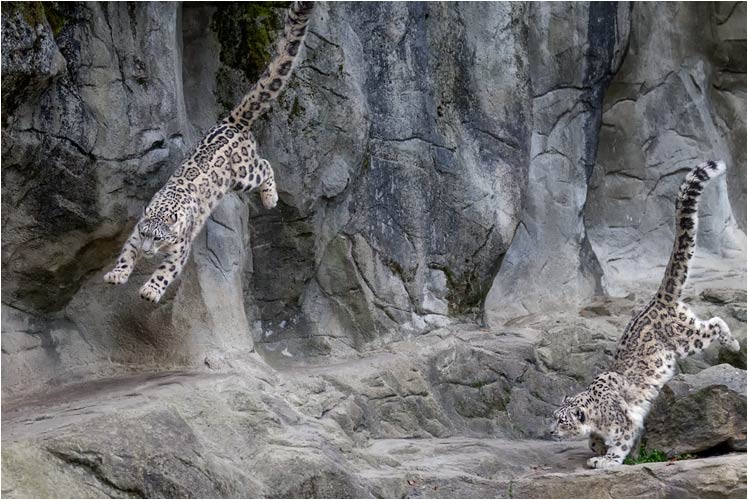 ... ausser Reichweite...