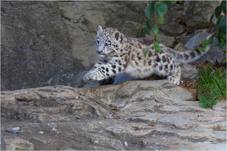 Achtung, gleich gibt es...