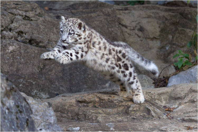 ... einen schönen und...