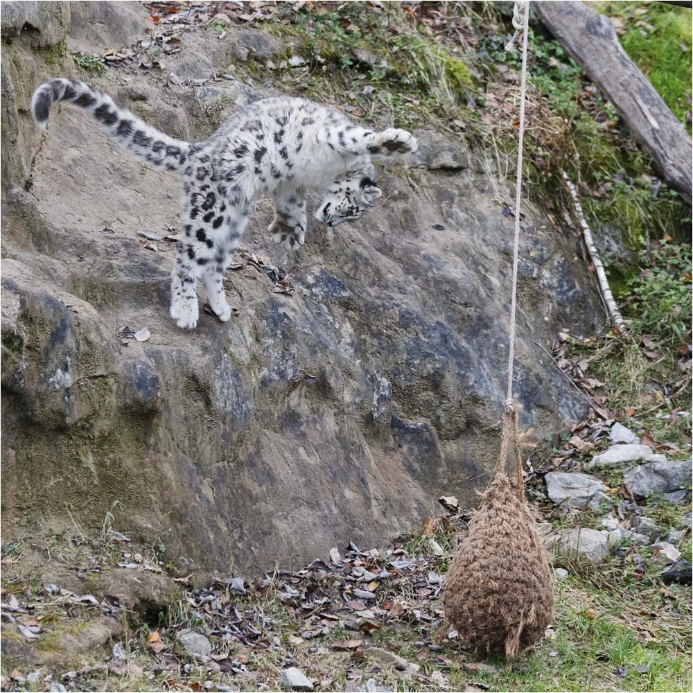 Dieses Mal treffe ich den Sack!