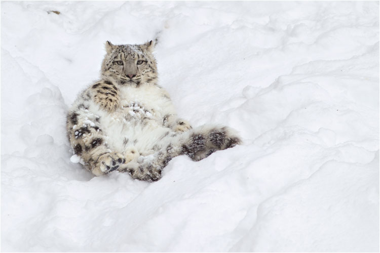 Kleine Verschnaufpause...