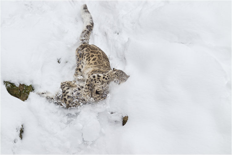 ....bevor es weitergeht!