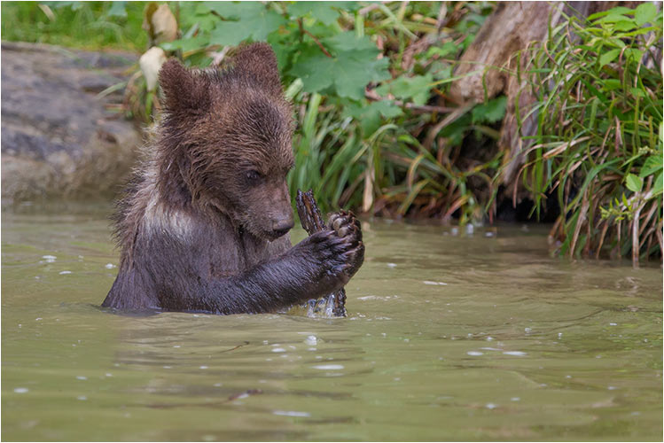 Wie war das schon wieder mit der Blockflöte?