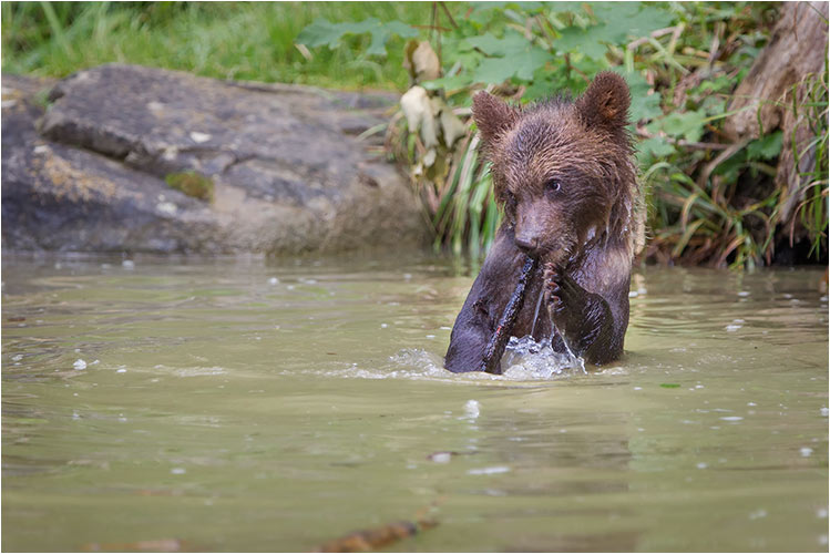 Blockflöte zu spielen ist gar nicht so einfach