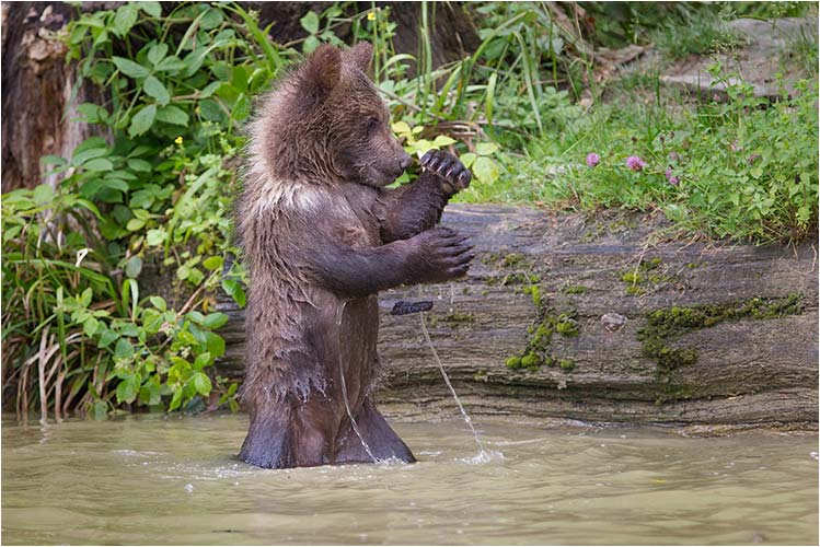 Wer will sich mit mir anlegen?