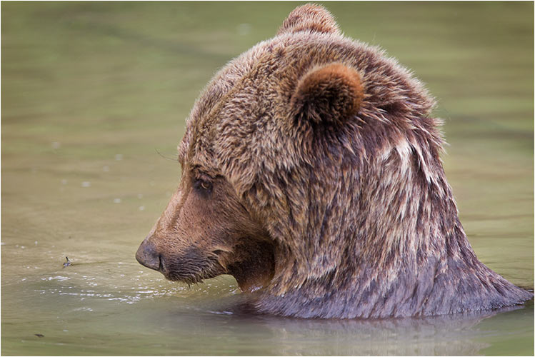  Das Wasser ist so erfrischend bei dieser Hitze