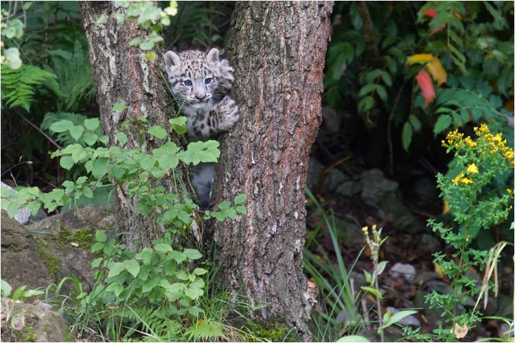 Da komme ich schon noch durch!