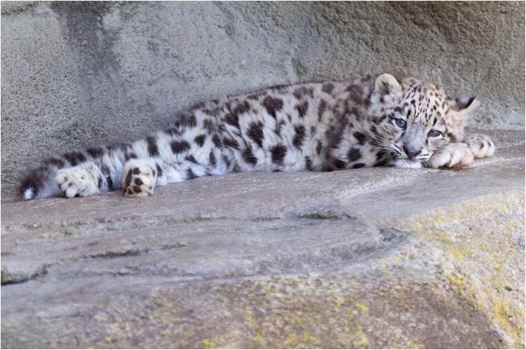 Ja und, was willst du mir sagen?