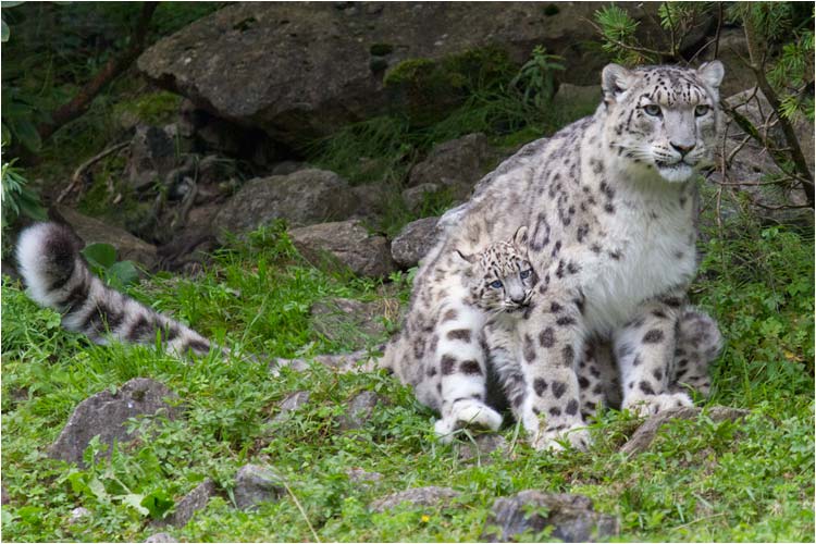 Hier bin ich im Trockenen