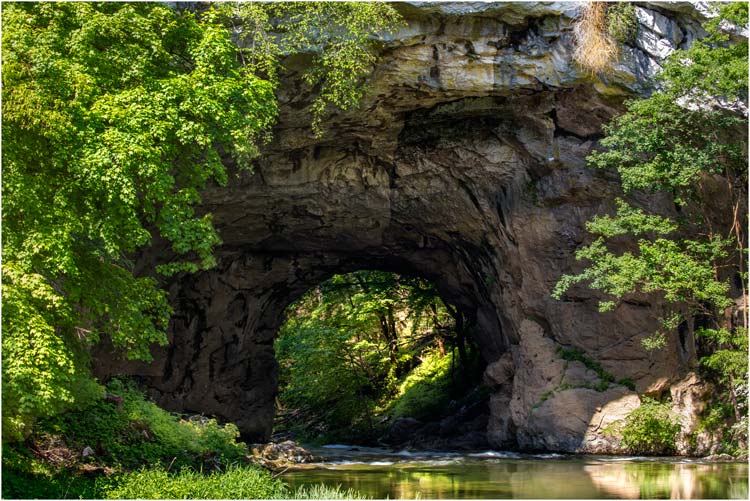 Das Tor zum Zauberwald