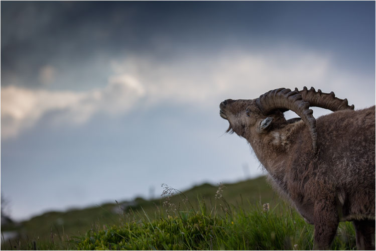 Oh, da kommt eine gewaltige Gewitterfront!