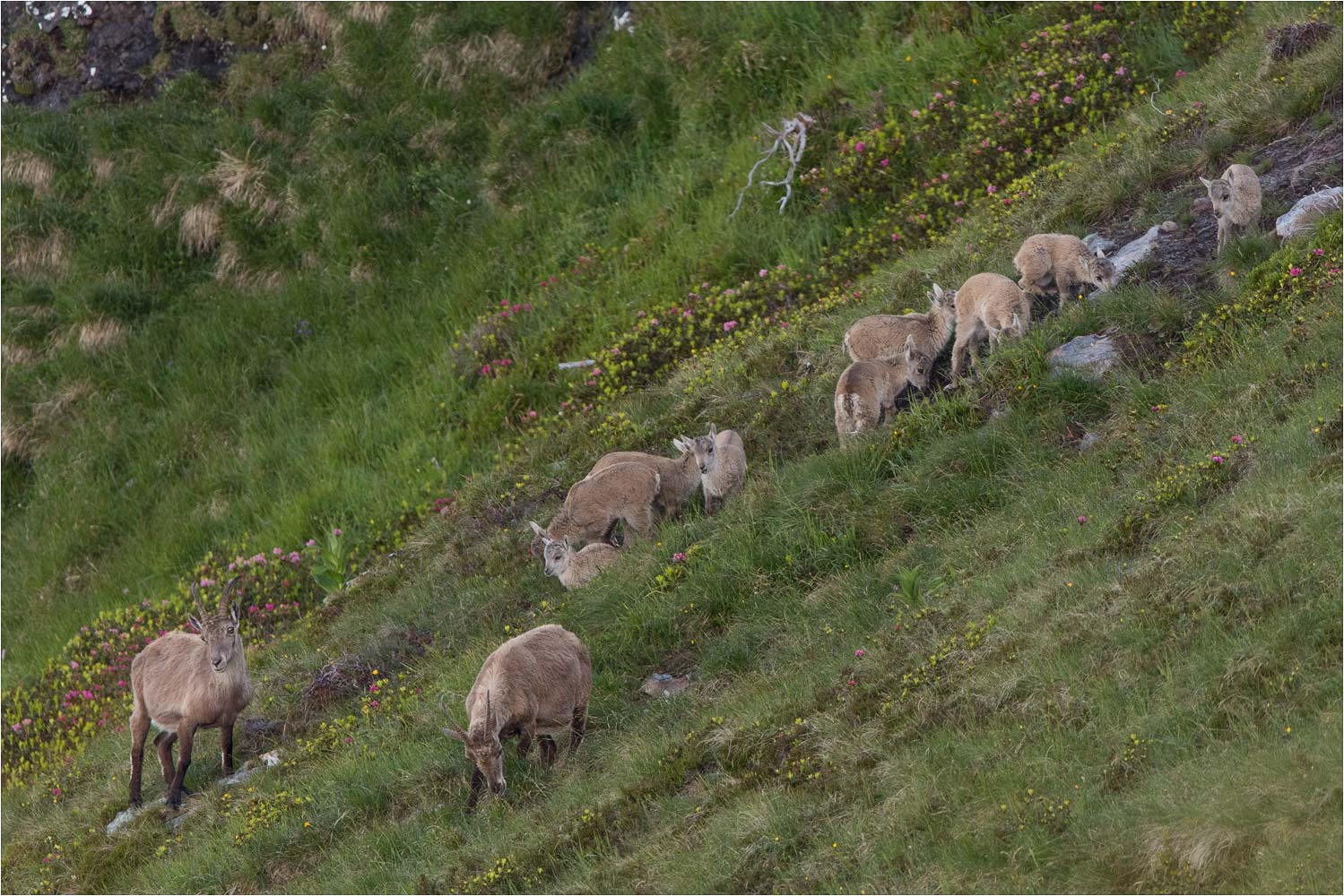 Ausflug Kinderkrippe
