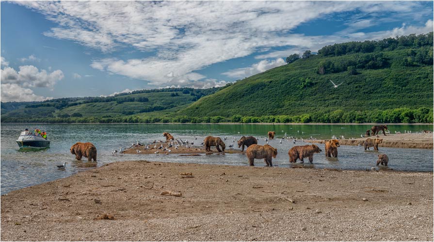 Hier gibt es viel Lachs!