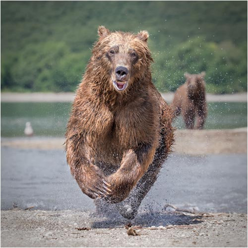 Achtung, platz, ich komme!