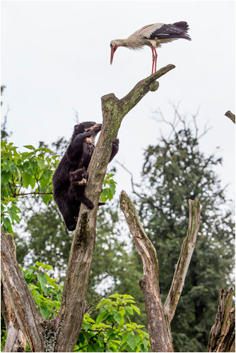 ...sonst kommt meine Mama...