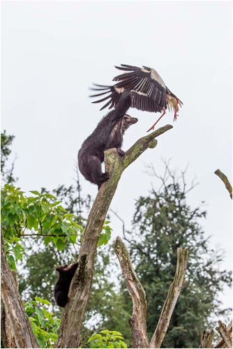 ...und sie ist sehr stark...