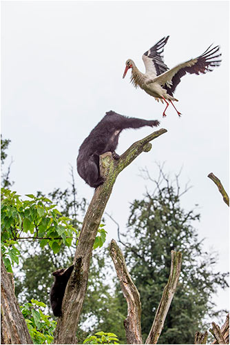 ...siehst du, gegen Mama hast du keine Chance!