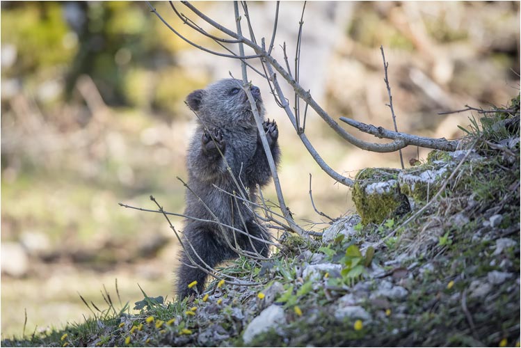 Auf Entdeckungstour.