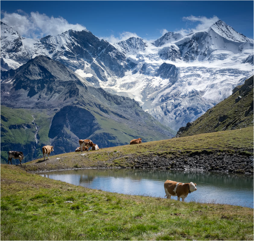 Sur le Sentier direktion Col de Sorebois. En haut à droit le Zinalhorn