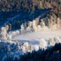 Schneereif in der Sonne, Blick aus dem Bachtelturm,